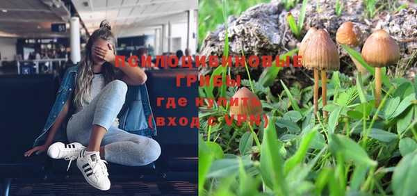 спайс Алексеевка