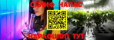стафф Донецк