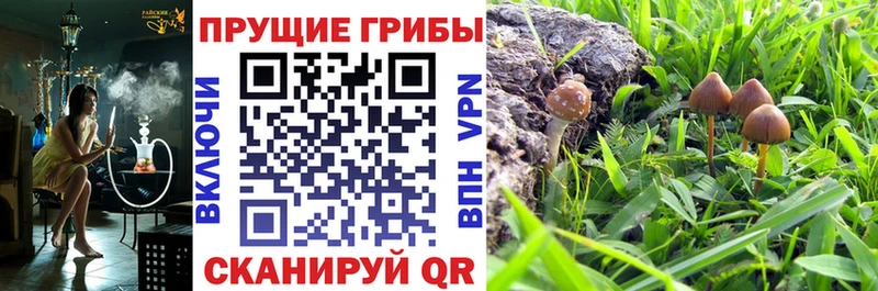 Псилоцибиновые грибы Cubensis  Мирный 