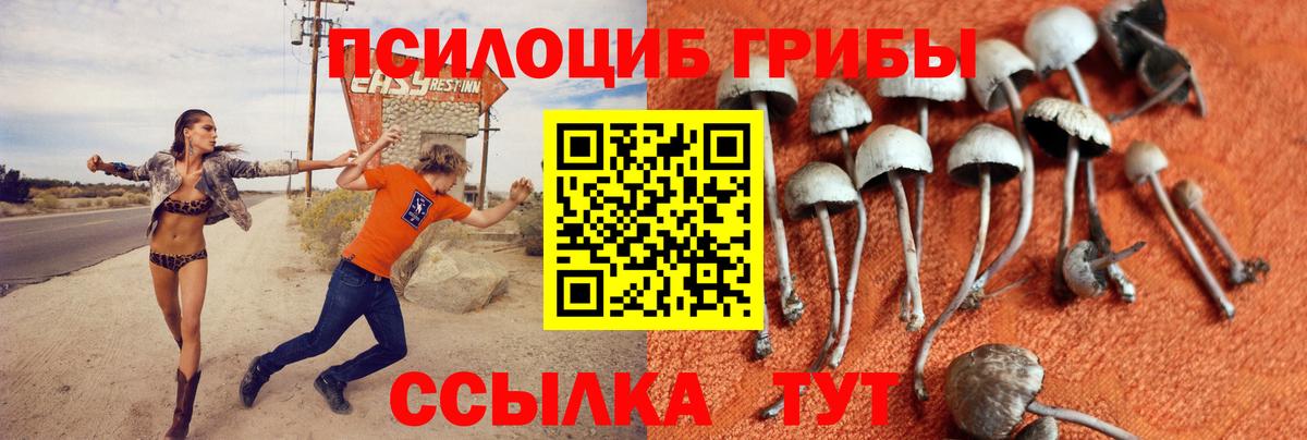 Мирный  Псилоцибиновые грибы MAGIC MUSHROOMS  Вход с VPN 